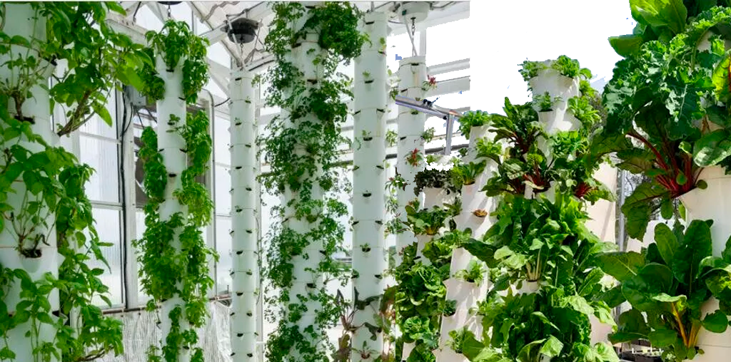 Torres Hidropónicas INDULIFE | Cultivo Vertical de Alta Producción