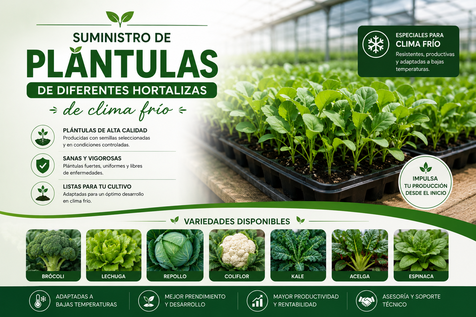 Plántulas de Hortalizas de Clima Frío | INDULIFE